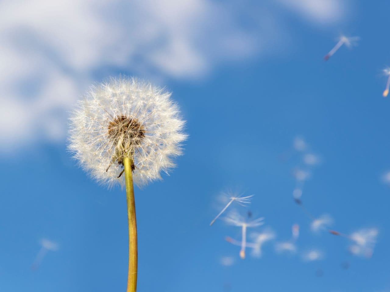 change your pollen filter